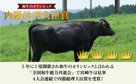 【数量限定】＜冷蔵・真空包装＞宮崎牛旨味全開食べ比べセット(合計540g、ヒレ140g・ロースステーキ200g×2枚) 牛 牛肉 食べ比べ_K008-021
