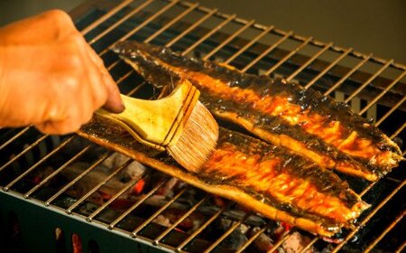田野町産うなぎの蒲焼き(大）2本 タレ付き 山椒付き