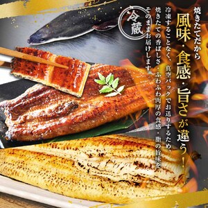 特選うなぎの蒲焼き２尾＋白焼き１尾入り（特製タレ付き） ヤマシン