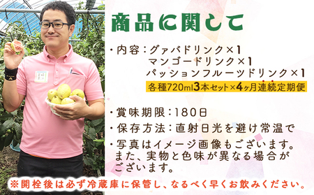 【定期便・全4回】驚きの果実感！トロピカルフルーツドリンク(3本・各720ml、マンゴー、グァバ、パッションフルーツ)×4回 定期 定期便 果物_K021-T001