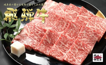 飛騨牛 A5等級【冷蔵配送】【2回定期便】飛騨牛食べ比べセット サーロイン ローススライス ロース焼肉用