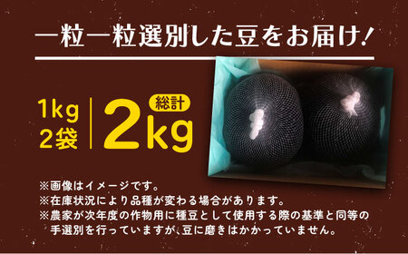 北海道 あしょろの黒大豆 1kg×2袋《足寄町》【党崎農場】[BEAA020]