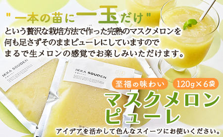 メロンピューレ 120g×6袋 ピューレ tn-0007
