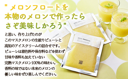ピューレ メロンピューレ バニラアイスクリーム 3個セット【テレビで紹介 メロン農家が作ったメロンピューレ ピューレ アイスセット 完熟マスクメロン100％】  tn-0028
