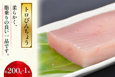 北かつのマグロ上質セット (マグロ中トロ 200g マグロ上質赤身 200g×2 メカジキ 200g びんちょう 200g）合計1kg [北かつ商事 宮城県 気仙沼市 20563511]