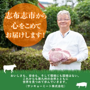 鹿児島県産黒豚ヒレ(2分割ブロック) 3本＜計1.1kg以上＞ヒレ 豚ヒレ ヒレ肉 ヘレ肉 ひれかつ ステーキ ブロック 鹿児島県産 豚肉 黒豚 豚 a6-063
