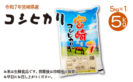 ＜令和7年産米＞宮崎県串間市産！超早場米「コシヒカリ」(5kg×1袋)_K007-001