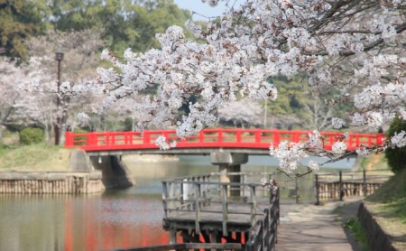 福岡県朝倉市　日本旅行　地域限定旅行クーポン150,000円分 チケット 