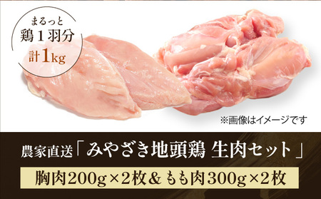 ＜認定農家直送＞のびのびと育てたみやざき地頭鶏の生肉セット(合計1kg・モモ肉300g×2P、ムネ肉200g×2P)_K014-002