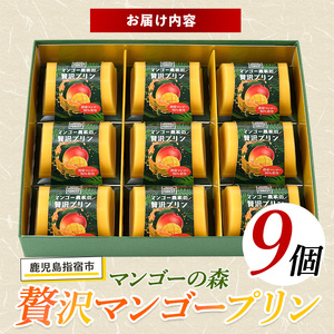 マンゴースイーツ マンゴー農家の贅沢マンゴープリン9個入 マンゴーの森 IB040-005 マンゴープリン マンゴープリン