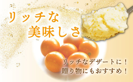 串間市産きんかんたまたま使用！たまリッチアイス詰合せ(9個)_K004-002