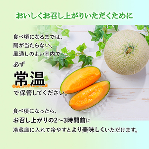 【令和8年産】先行予約 メロン かみふらの 赤肉 メロン 約 1.6kg 2玉 セット めろん 果物 フルーツ デザート くだもの 旬の果物 旬のフルーツ 北海道 上富良野 産地直送