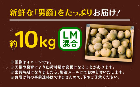 【先行予約】北海道産じゃがいも 男爵 10kg（LM混合）【足寄町/党崎農場】じゃがいも[BEAA006]