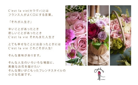 生花 定期便 年3回 バラ アレンジメント 生花