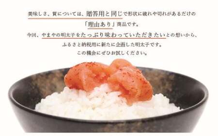 もつ鍋 明太子 やまや 訳あり 定期便 6回  5人前 訳あり明太子 1kg [um40azo860014] もつ鍋