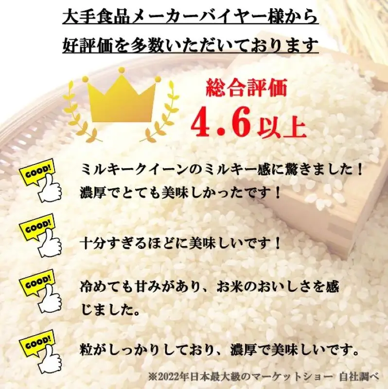 定期便 6ヶ月 ミルキークイーン 無洗米 5kg 令和8年産 米 お米 5キロ 6か月 30kg 30キロ 白米 精米 産地直送 こめ コメ おこめ 送料無料 長野 長野県 長野県産 小諸 小諸市 定期 6回
