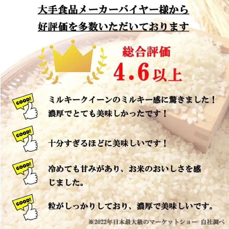 定期便 6ヶ月 ミルキークイーン 無洗米 2kg 令和8年産 米 お米 2キロ 6か月 チャック付 チャック 小分け 少量 少量パック 白米 精米 産地直送 こめ コメ おこめ 送料無料 長野 長野県 小諸 小諸市 定期 6回