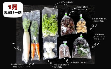 【年間定期】西粟倉村 旬の野菜おまかせセット｜毎月12回 【配送不可地域：北海道・沖縄・離島】 F-FF-B01A F-FF-D00A