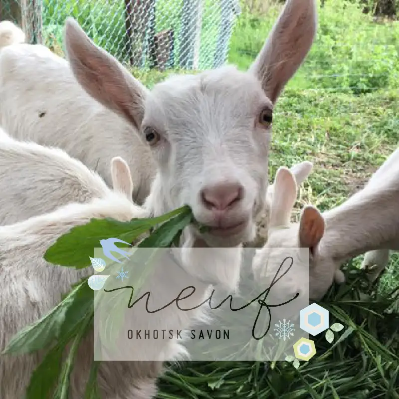 ゴートミルクソープ ハーブミックス ( 石鹸 せっけん 敏感肌 アトピー 保湿 )【055-0010】