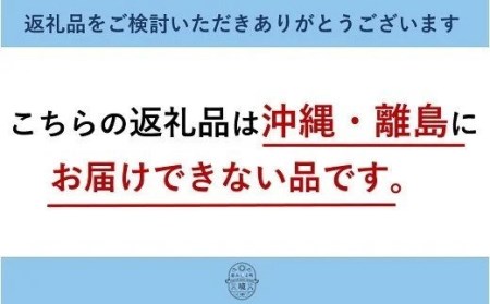 K1611 ジェームズ マーティンが境町に工場新設！ アルコール除菌＆ハンドソープ＆食器用洗剤セット