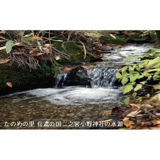 M-01　信州塩尻たのめの里 大分水嶺(だいぶんすいれい)の天然水