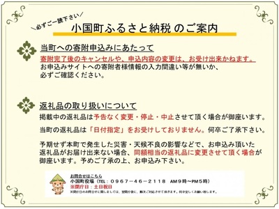 【豊作市場】野菜セット 加工品セット 店長おすすめ おまかせ 5～7種 阿蘇 小国 杖立温泉 産地直送 国産 辛子れんこん 贈り物 贈答 ギフト ご自宅用