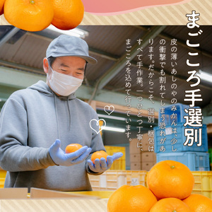 ZE6348n_【2026先行予約】和歌山県産 有田みかん 5kg (2S～Lサイズ混合)【まごころ手選別】