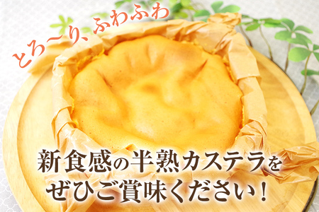 半熟カステラプレーン 3個 200g×3個 合計600g カステラ スイーツ お菓子 冷凍 福岡県産 国産 送料無料
