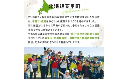 ＜2026年発送＞おいわけメロンパック 糖度16度以上 2.0kg以上×2玉(数量限定) メロン おいわけメロン 赤肉メロン 糖度 スイーツ デザート 果物 国産 北海道 安平町