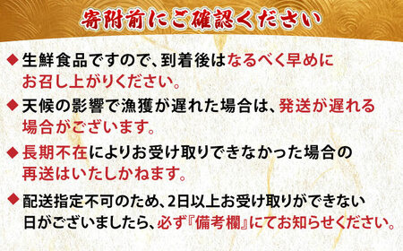 【2026年7月中旬以降順次発送再開】活ほっき貝 3kg 約10～18個  ホッキ 冷蔵発送 [AXAL003]