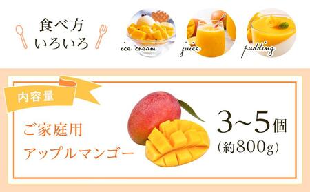 【先行予約 2026年発送】家庭用マンゴー 約800g アップルマンゴー