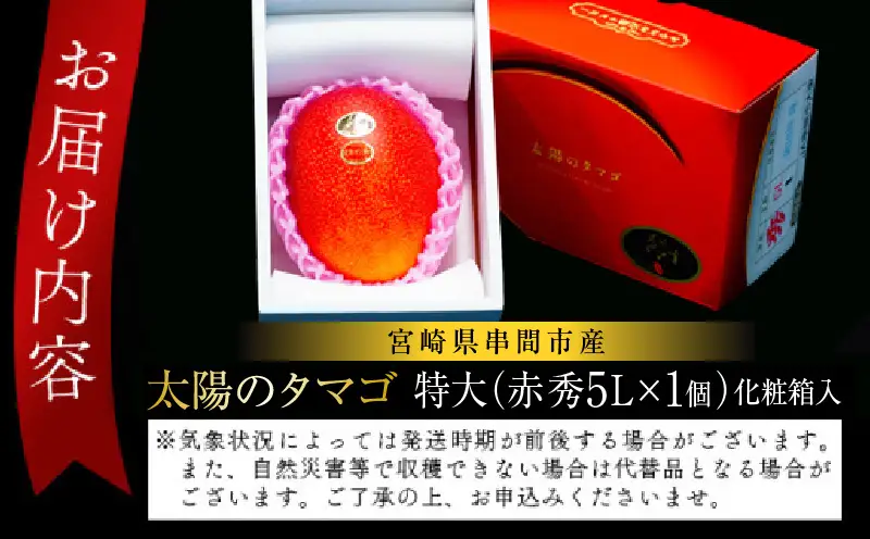 宮崎県串間市産 完熟マンゴー 太陽のタマゴ 特大(5L×1個) 化粧箱入り_K008-025