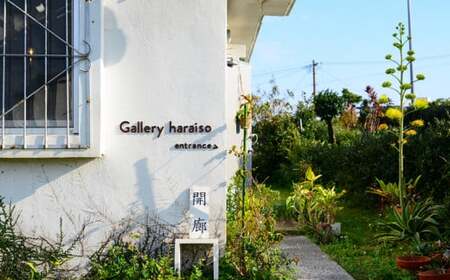 【沖縄のかわいい器】土の種のネコ皿　ブロンズ