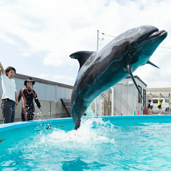 トレーナー体験１名（中学生以上）