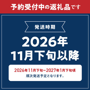 G7052_【2026年11月下旬より発送】高級ブランド 田村みかん 10kg 大玉サイズ