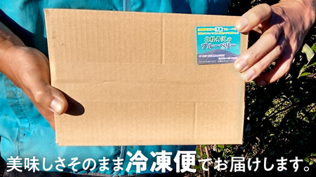【数量限定】 冷凍ブルーベリー1kg [AD002tu]
