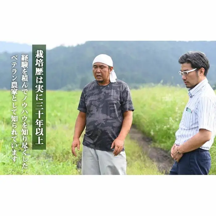 先行予約【高級】八色原すいか大玉２玉【2026年7月下旬発送】【お届け日時指定不可】