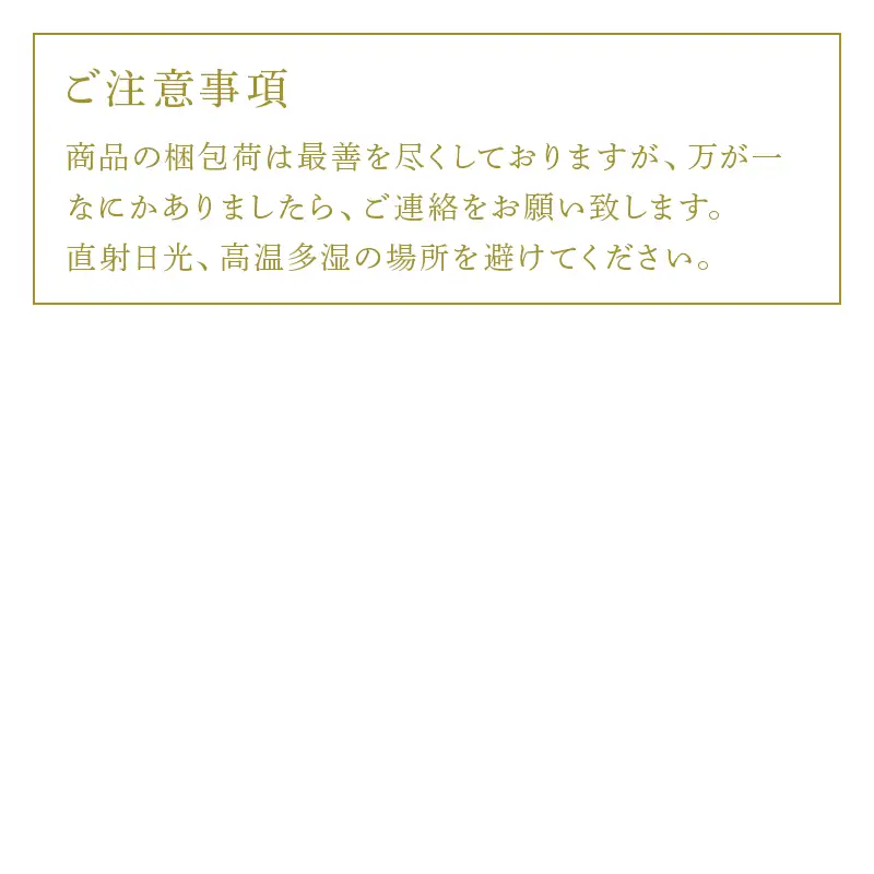 生姜濃縮 ジンジャエール 250ml×12本 生姜の味がギューッと1本に濃縮