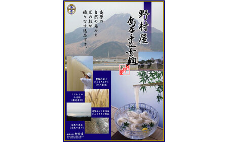 野村屋の島原 手延 素麺 絹の輝 40束（小袋入り） / そうめん 南島原市 / 野村屋 [SCS009]