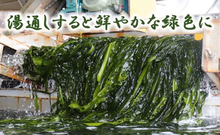 北緯40度ふだいわかめ（湯通し塩蔵わかめ）200g×3袋 三陸産 国産