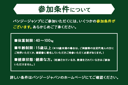 【高さ215ｍ】日本一のバンジージャンプ「岐阜バンジー」9,000円割引券