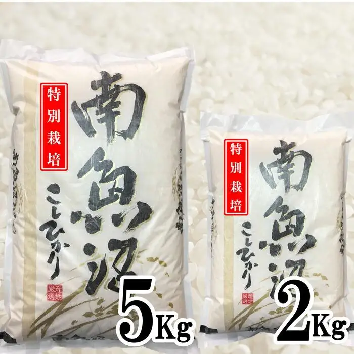 【令和7年産】【定期便：20Kg×3ヶ月】特別栽培 生産者限定  南魚沼しおざわ産コシヒカリ【定期便 銘柄米 ブランド米 精米 こしひかり コシヒカリ 魚沼産 新潟米 産地直送 お米 米 こめ コメ ご飯 御飯 ごはん】