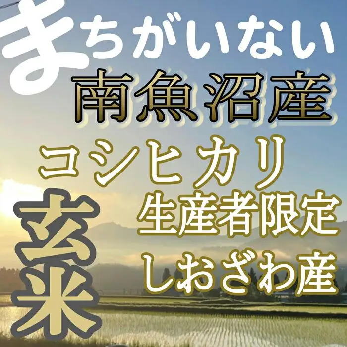 【令和7年産】【定期便】玄米 生産者限定 南魚沼しおざわ産コシヒカリ2Kg×12ヶ月【定期便 銘柄米 ブランド米 玄米 こしひかり コシヒカリ 魚沼産 新潟米 産地直送 お米 米 こめ コメ ご飯 御飯 ごはん】