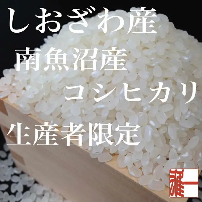 【令和7年産】【定期便：20Kg×6ヶ月】生産者限定 契約栽培 南魚沼しおざわ産コシヒカリ【定期便 銘柄米 ブランド米 精米 こしひかり コシヒカリ 魚沼産 新潟米 産地直送 お米 米 こめ コメ ご飯 御飯 ごはん】