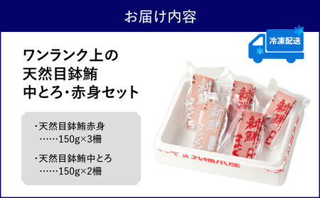 ワンランク上の天然目鉢鮪中とろ・赤身セット 750g M024-003 冷凍 マグロ