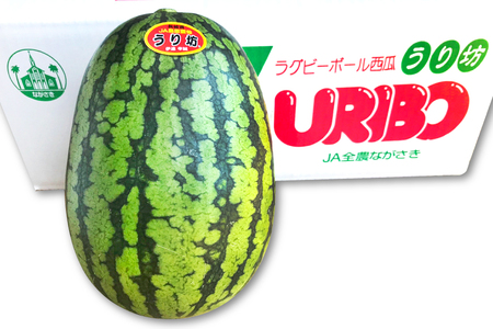 BE276 【令和8年度出荷分】小玉スイカ「うり坊」5kg（1.7kg以上×2～3玉） ～名水百選の里 島原産～