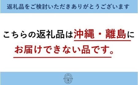 K1659 境町からＪリーグへ！境トリニタス ユニフォーム半袖 150-Oサイズ《ご希望のサイズをご指定ください》