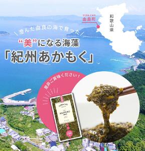 海藻　紀州あかもく［由良町産］100g×10パック（2025年産）【sml103E】