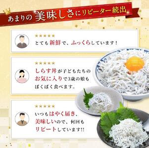 釜揚げしらす 木箱900g しらす 【dig005】