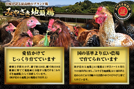 6種類 具材入り みやざき地頭鶏 つみれ 鍋 セット 4 ～ 5人前 数量限定 鶏肉 チキン 国産 食品 地鶏 もも むね 手羽元 手羽先 ウインナー 鍋つゆ ブランド鶏 ご褒美 真空冷凍 おすすめ 贈り物 ギフト プレゼント お取り寄せ グルメ 宮崎県 日南市 送料無料_DA21-23